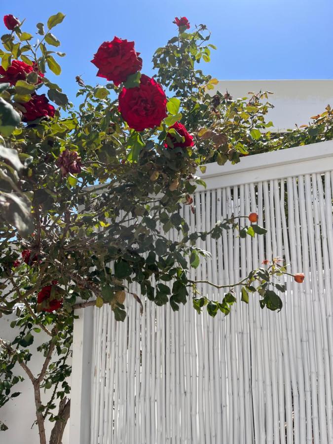Aleria Central Apartments Naxos City Екстер'єр фото